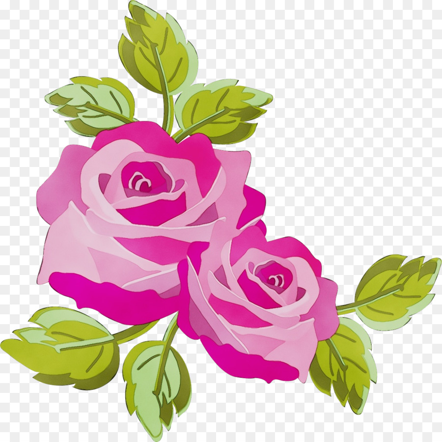 Fleur，Blanc PNG