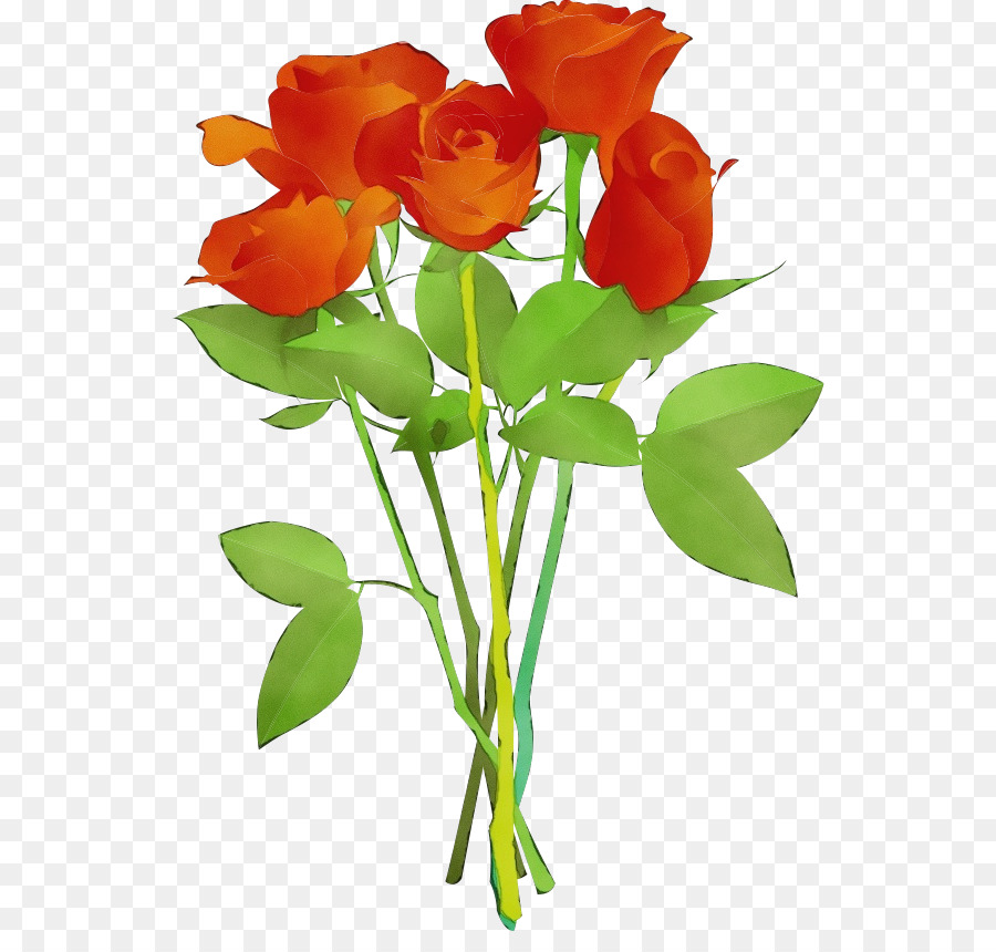 Boutons De Roses，Fleurs PNG