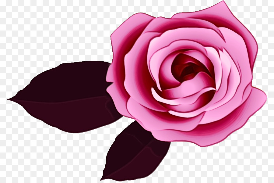 Les Roses De Jardin，Rose PNG