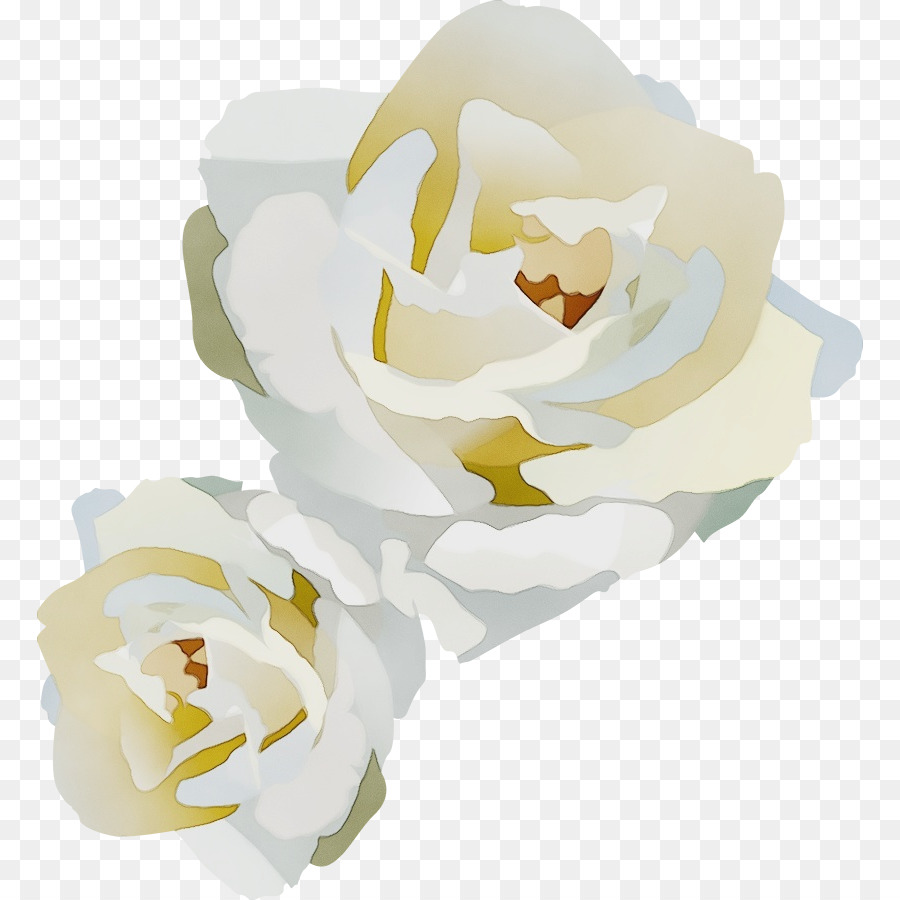 Blanc，Fleur PNG