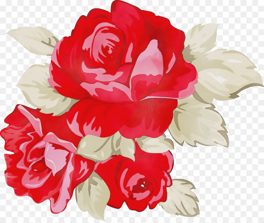 Roses，Floraison PNG