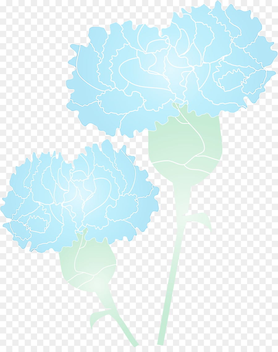 Turquoise，Feuille PNG