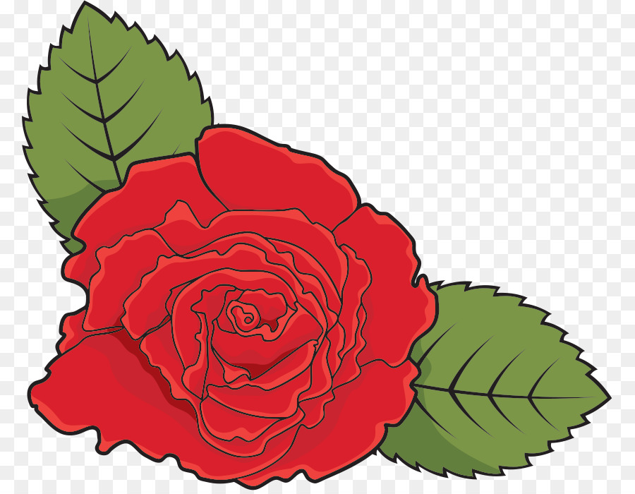 Roses，Floraison PNG