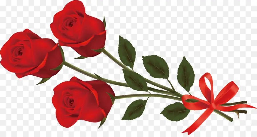 Roses Rouges，Fleurs PNG