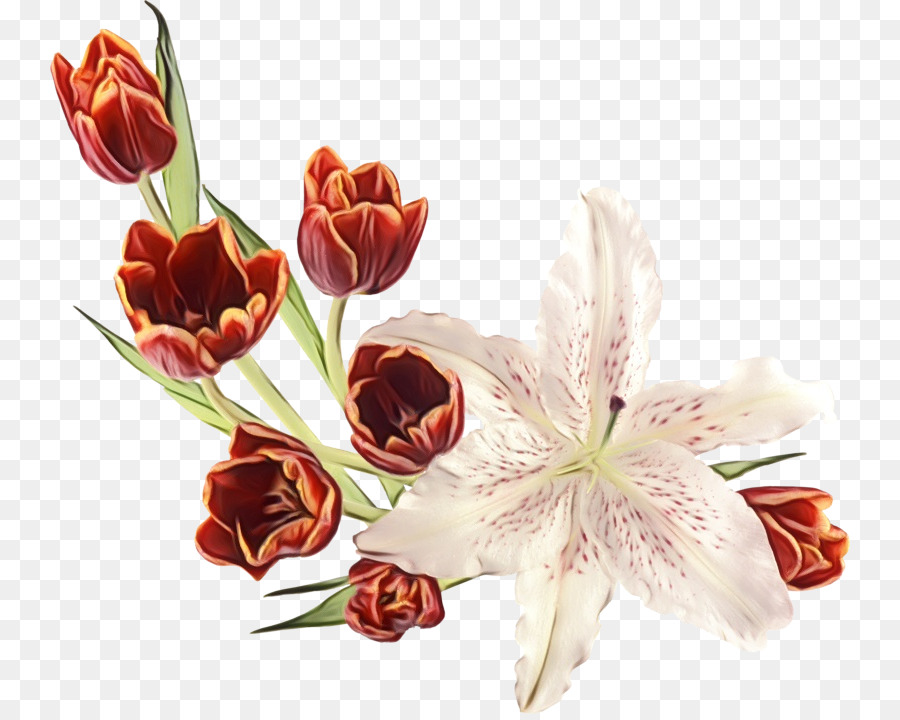 Fleurs，Bouquet PNG