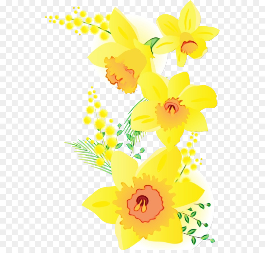 Jaune，Fleur PNG