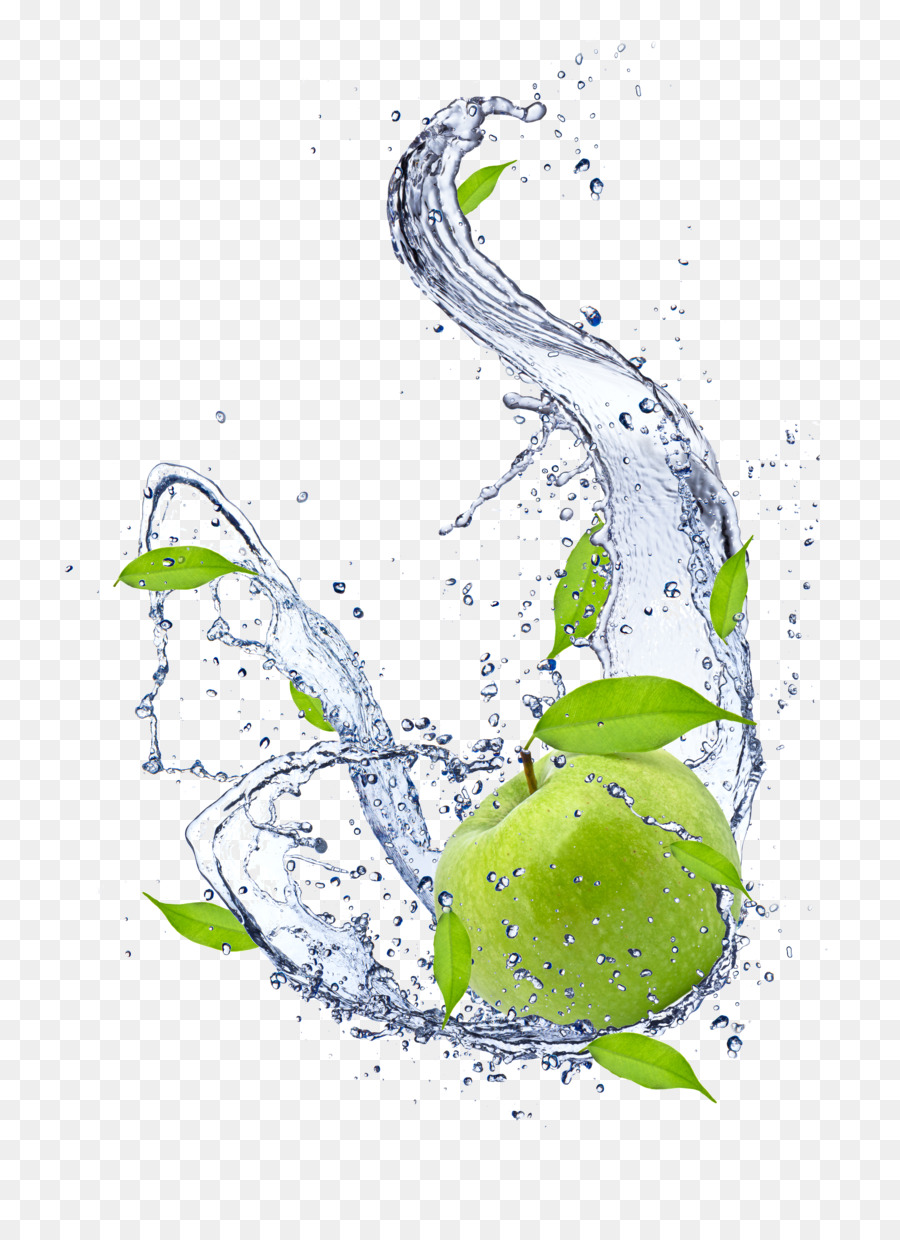 Eau，Usine PNG