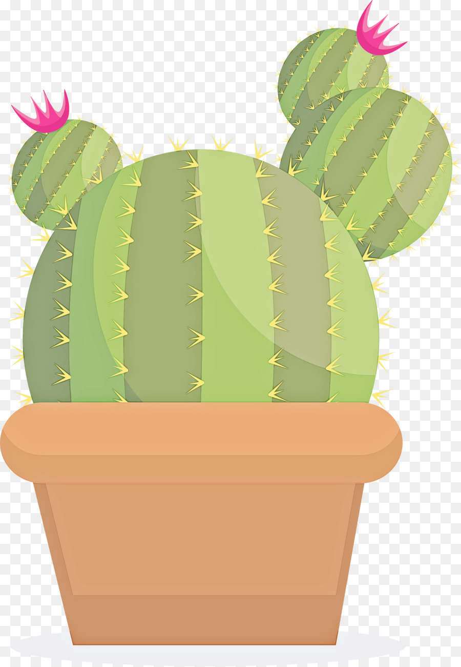 Cactus，Succulent PNG