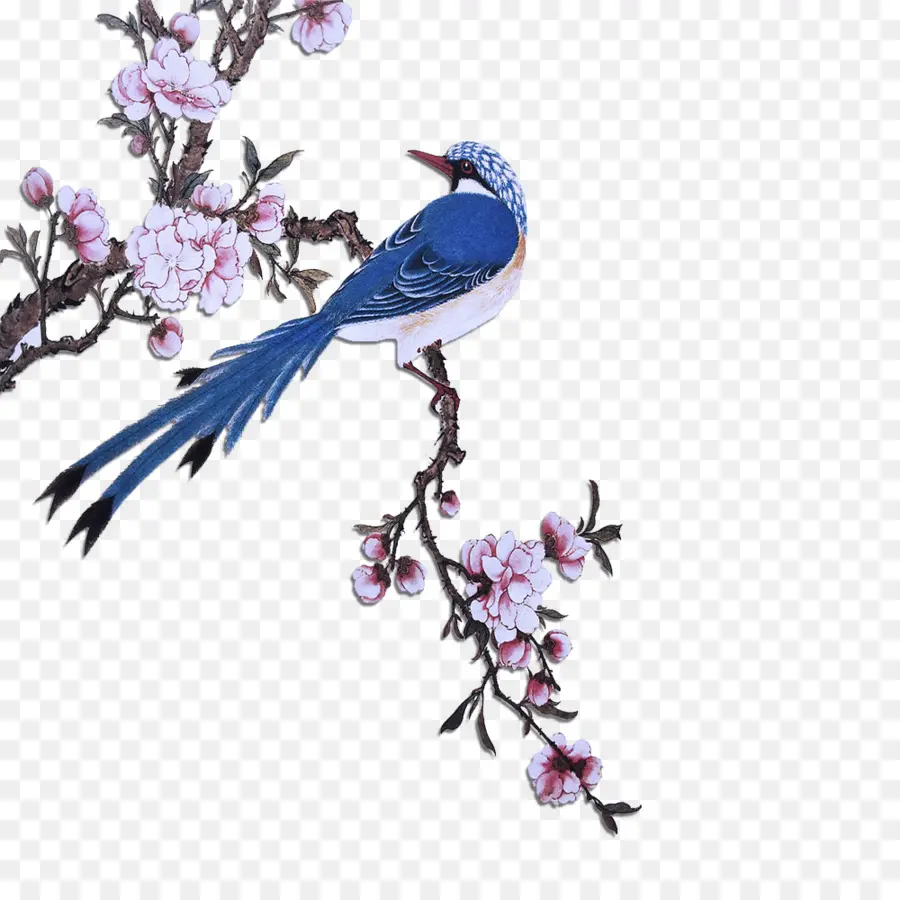 Oiseau，Oiseau Bleu De Montagne PNG
