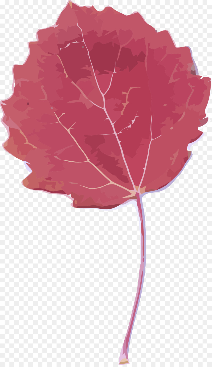 Feuille，Rouge PNG