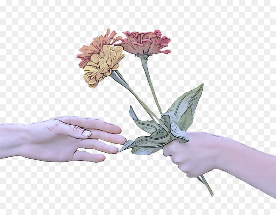 Fleur，Les Fleurs Coupées PNG