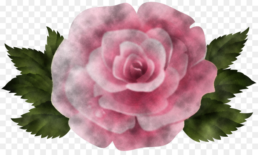 Fleur，Rose PNG