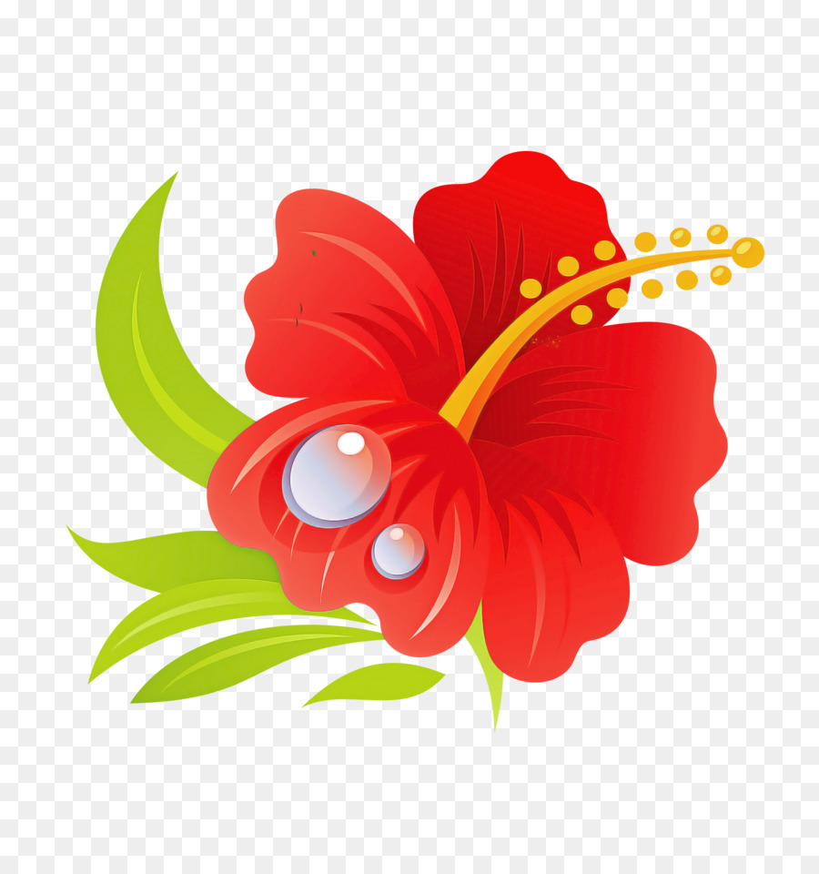 Hibiscus Hawaïen，Fleur PNG