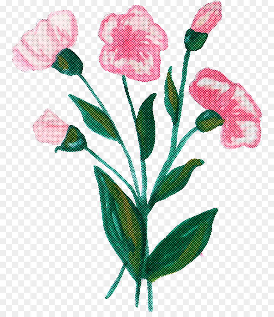 Fleur，Plante PNG