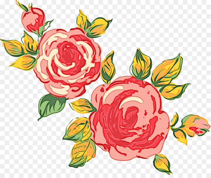 Roses，Floraison PNG