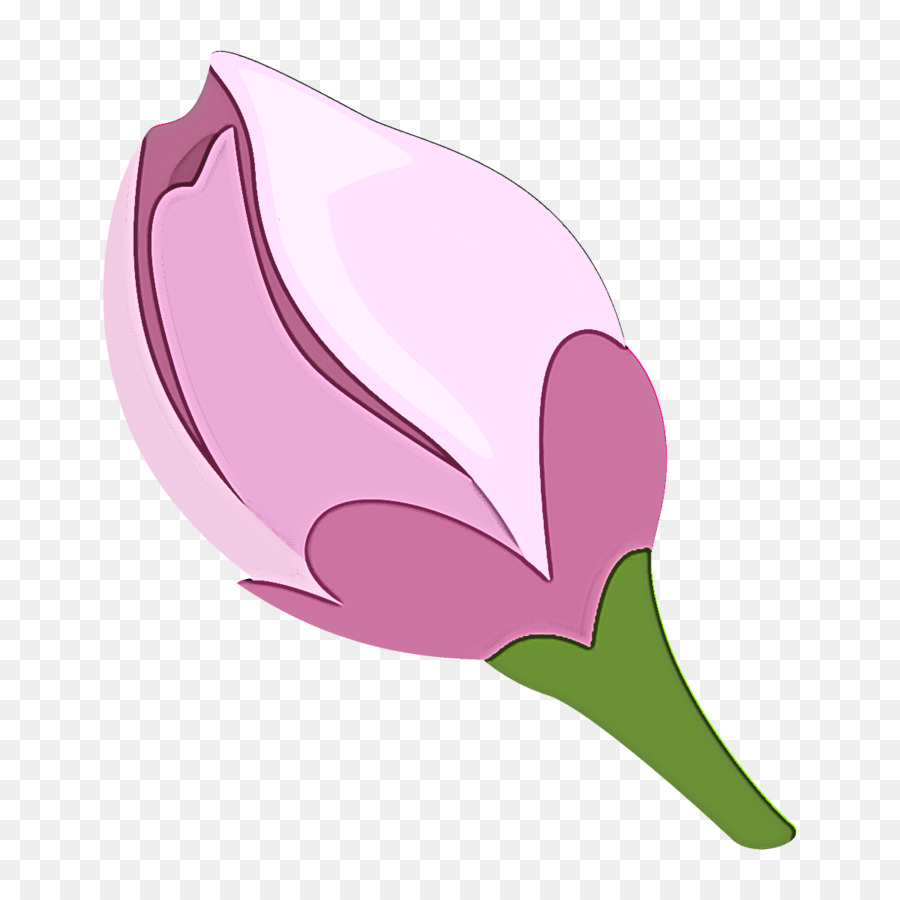 Tulipe Rose，Fleurir PNG