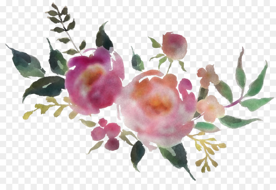 Fleurs，Rose PNG