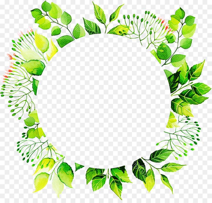 Feuilles Vertes，Botanique PNG