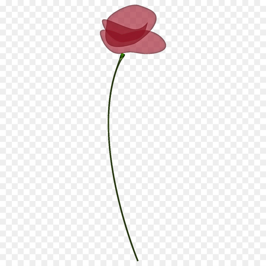 Fleur，Rose PNG