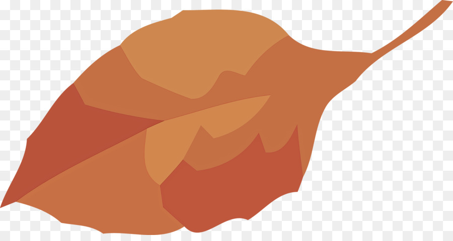 Orange，Feuille PNG