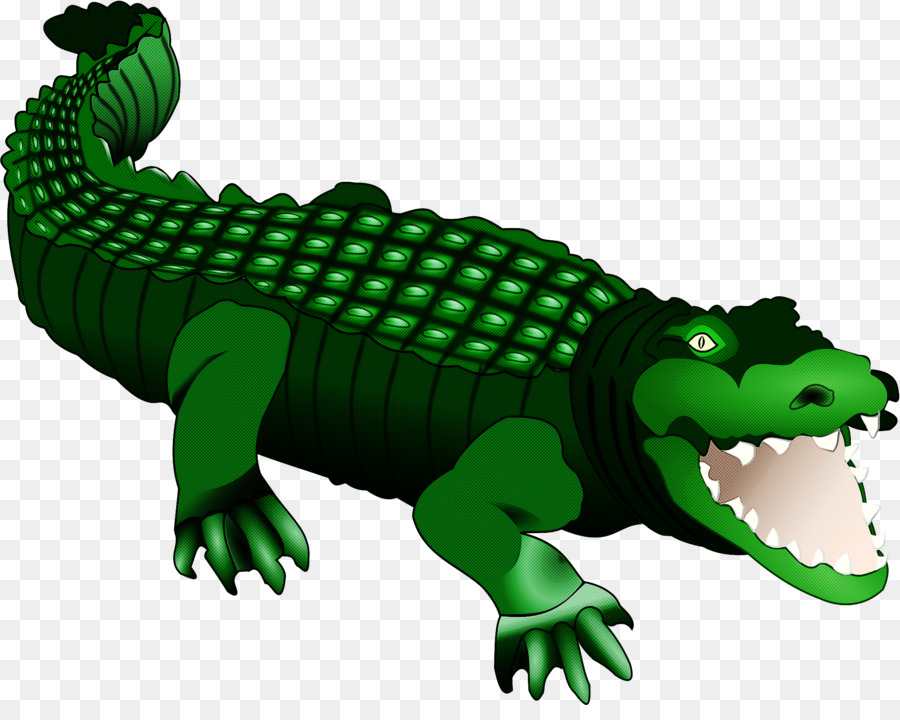 Crocodile De Dessin Animé，Vert PNG