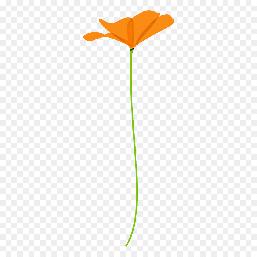 Fleur Jaune，Fleur PNG