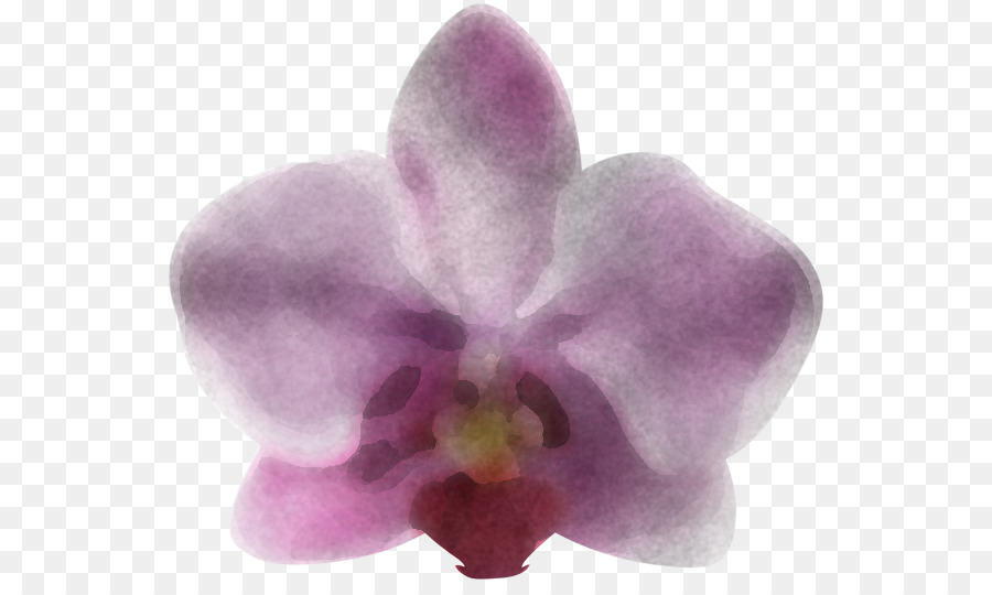 Violet，Fleur PNG