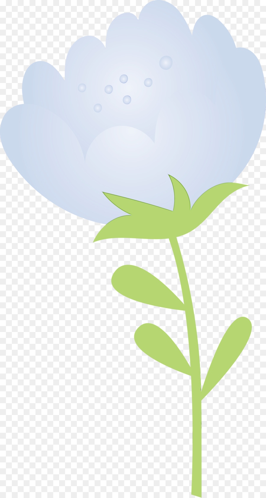 Feuille，Plante PNG