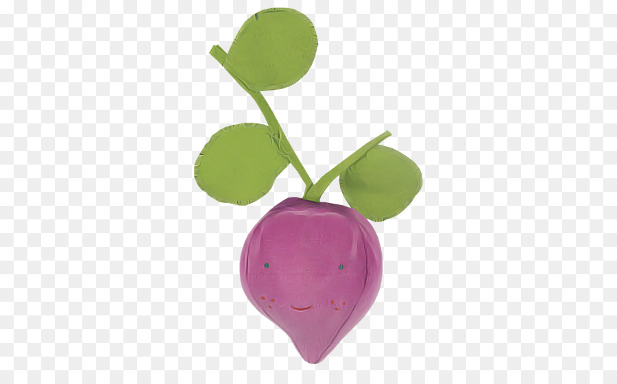 Violet，Radis PNG