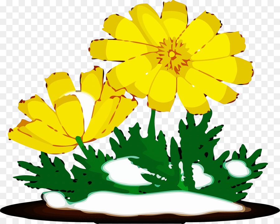 Jaune，Fleur PNG