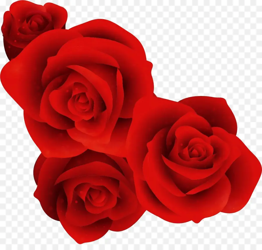 Les Roses De Jardin，Rouge PNG