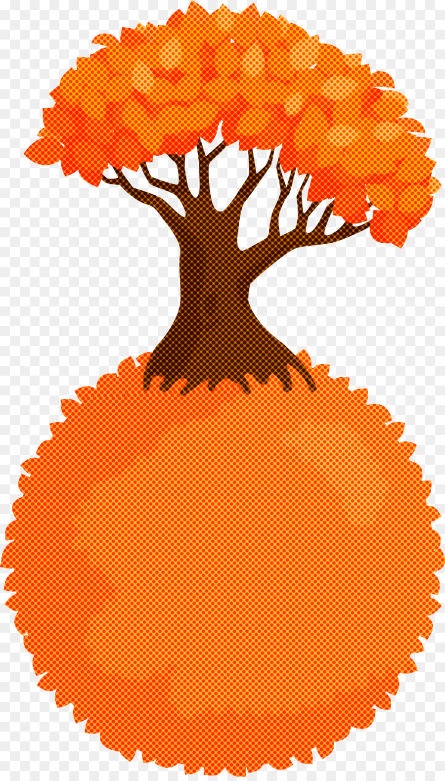 Orange，Plante PNG