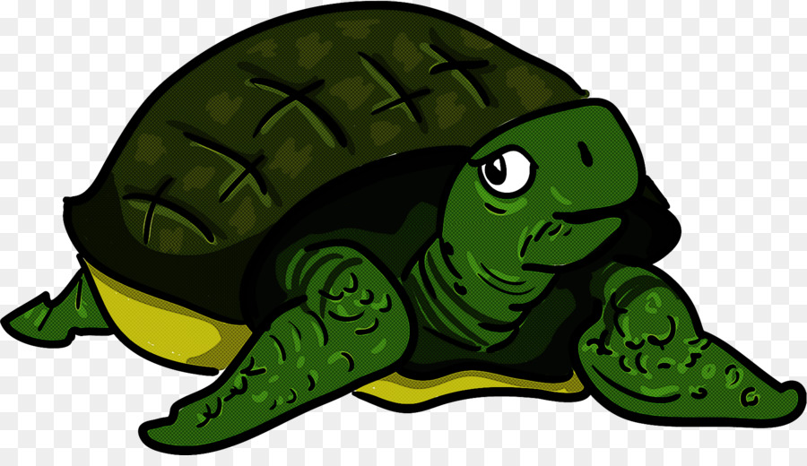 Tortue，Reptile PNG