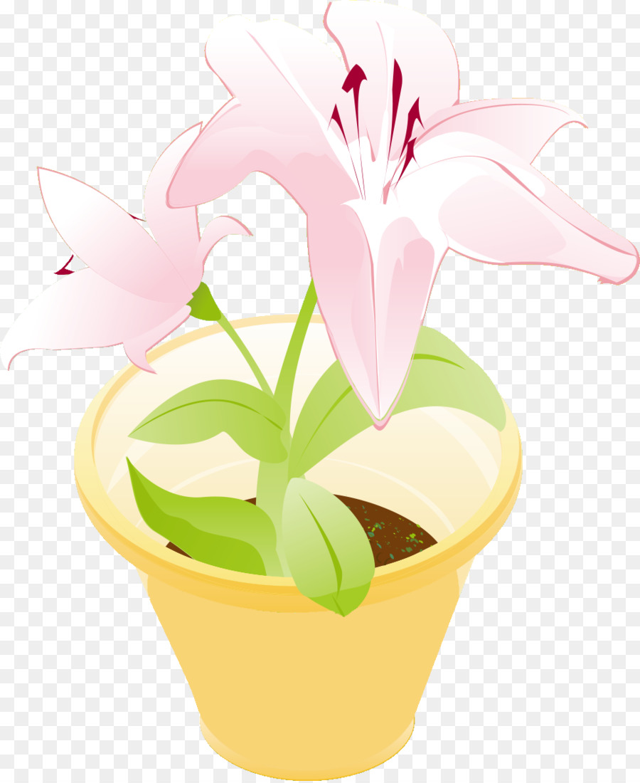 Flowerpot，Fleur PNG