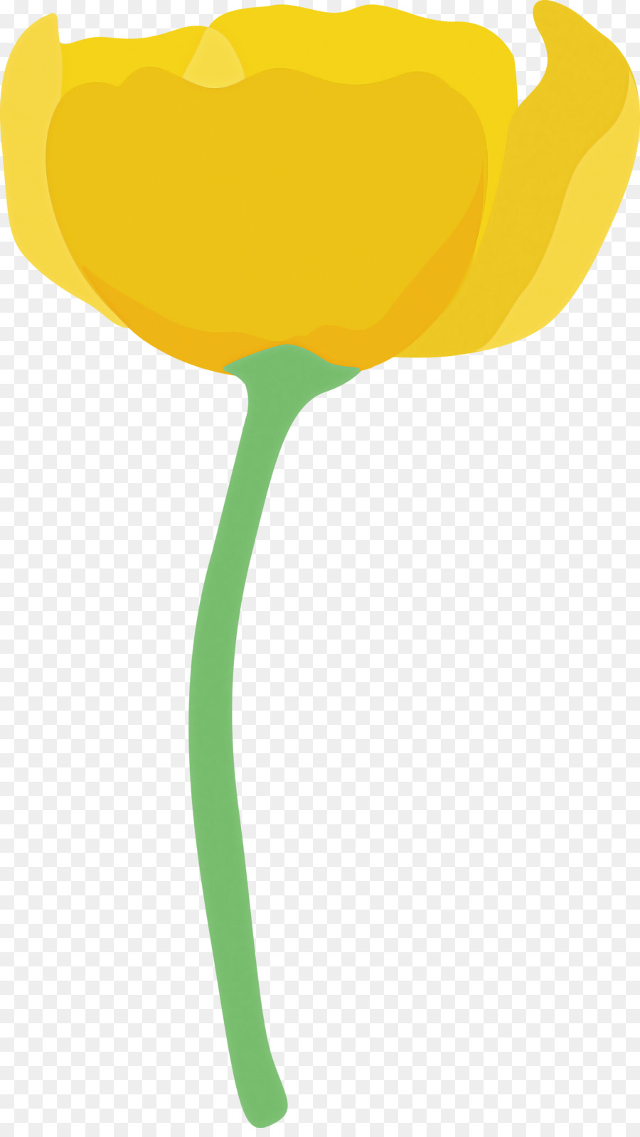 Jaune，Tulip PNG