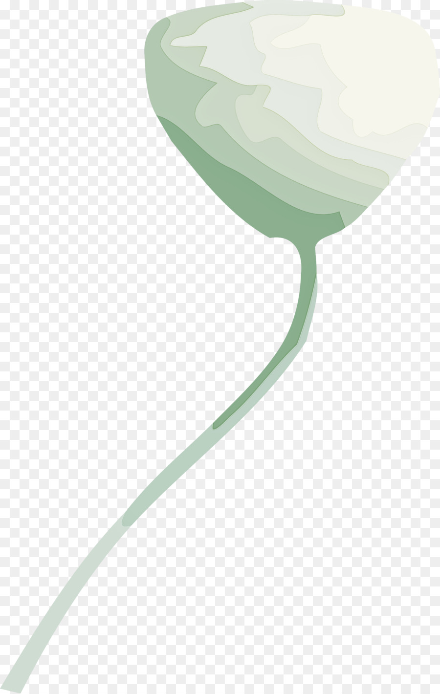 Feuille，Tulip PNG