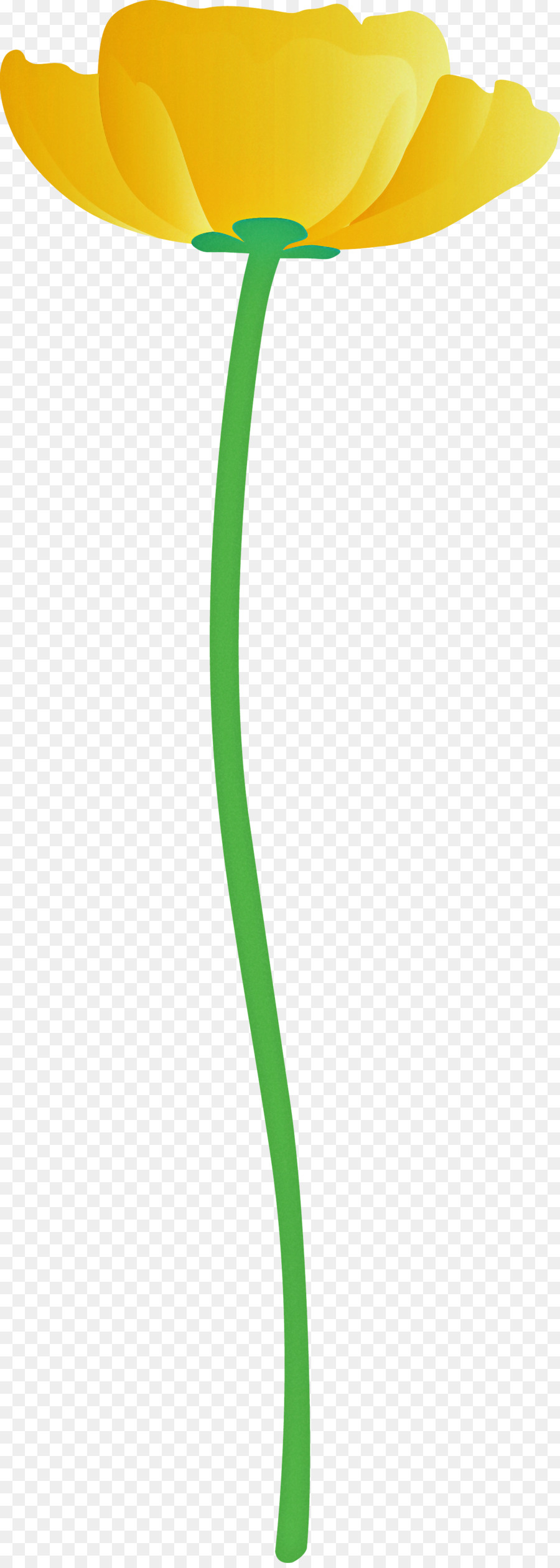 Vert，Feuille PNG