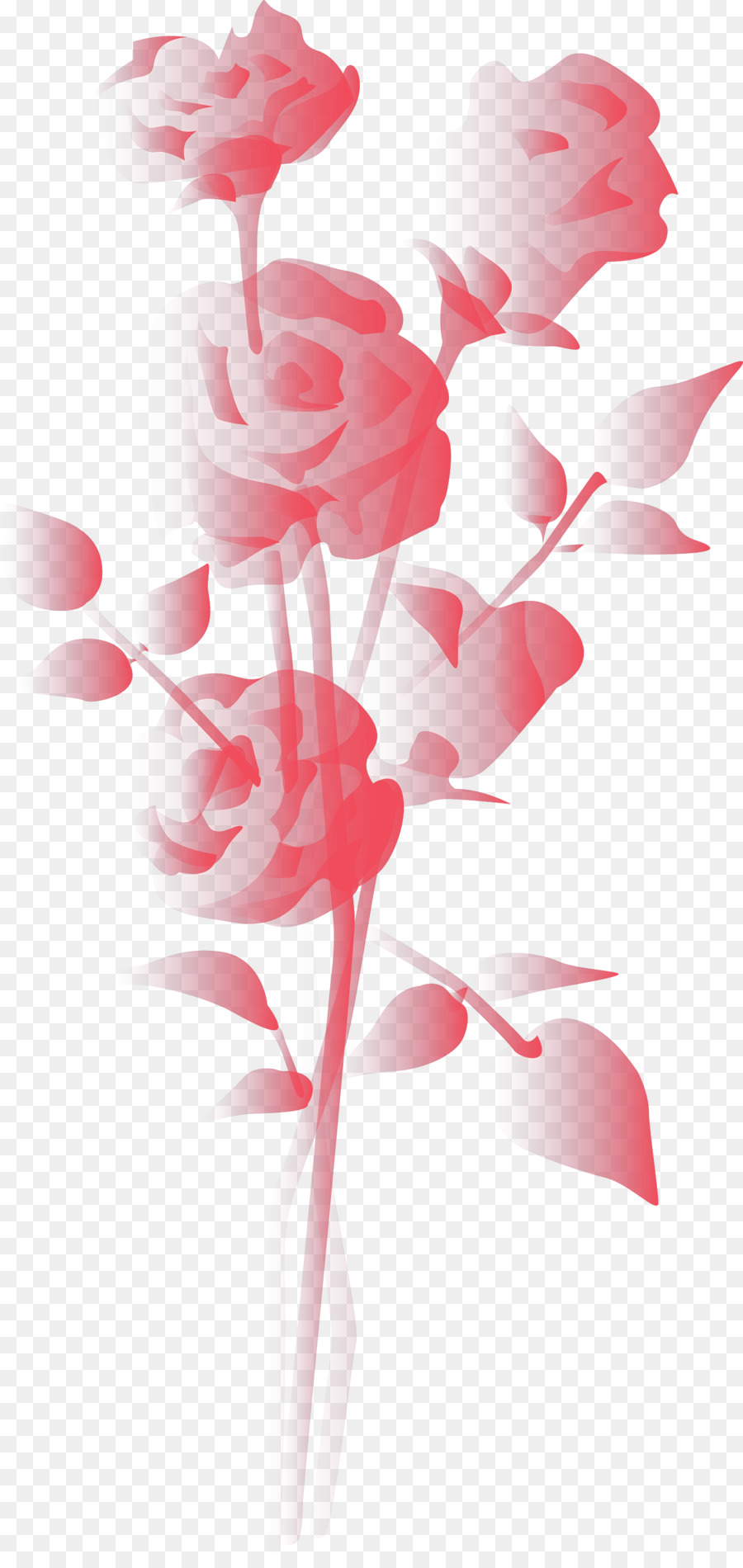 Roses Rouges，Bouquet PNG