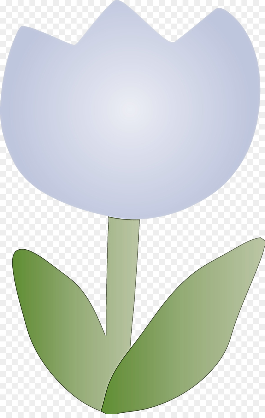 Feuille，Plante PNG