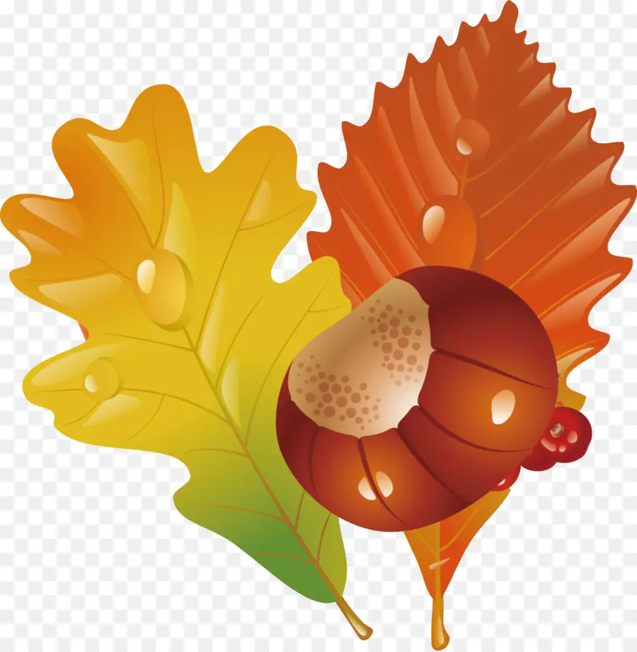 Feuilles D'automne，Automne PNG