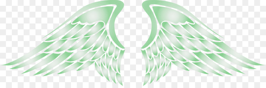 Ailes，Plumes PNG