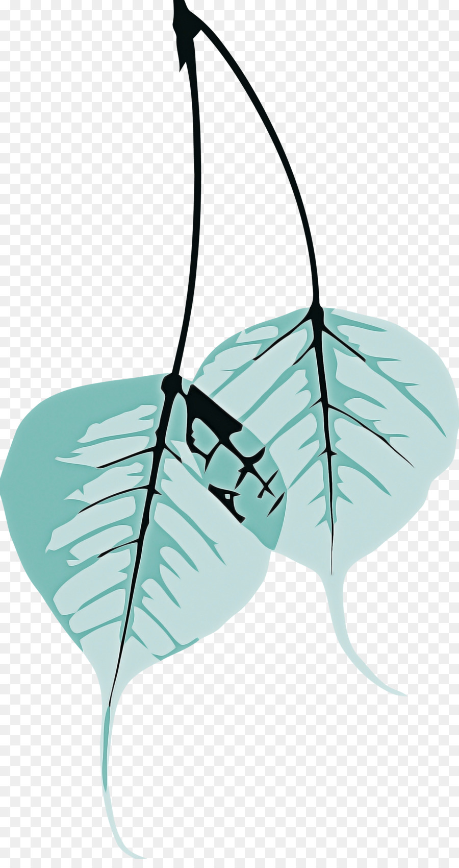 Feuille，Plante PNG