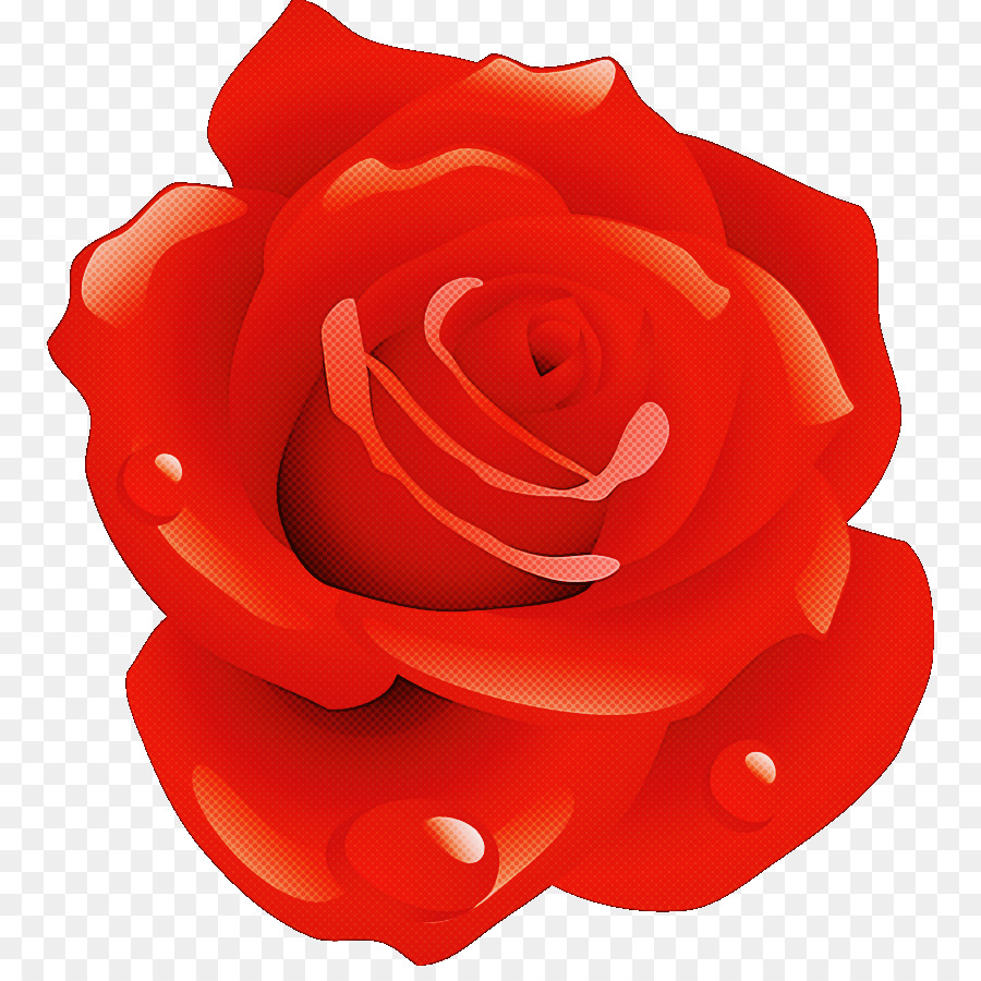 Les Roses De Jardin，Rouge PNG