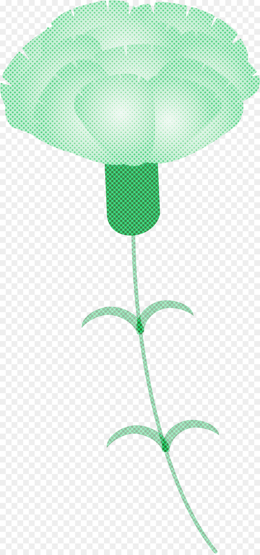 Vert，Plante PNG