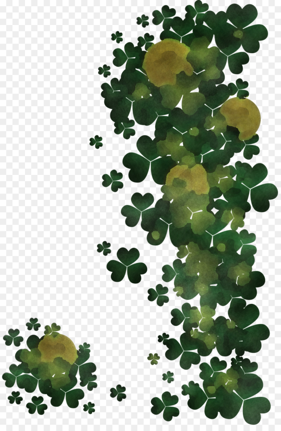 Plante，Feuille PNG