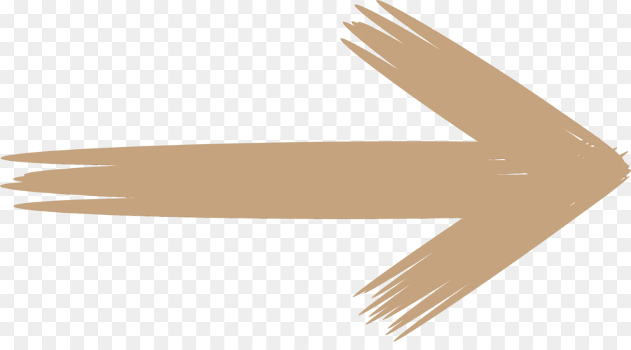 Beige，Aile PNG