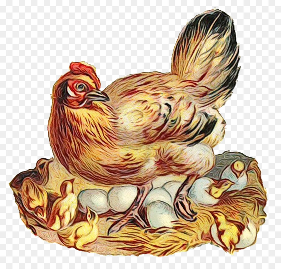 Poulet，Coq PNG