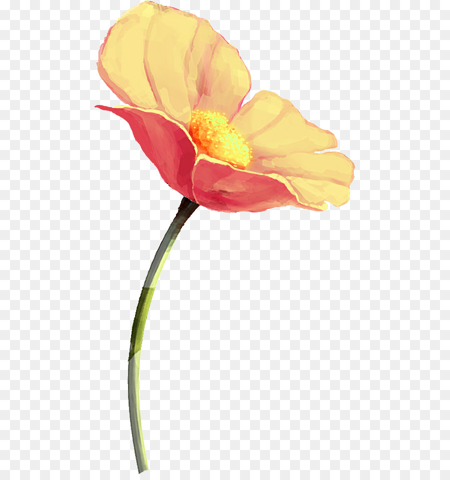 Fleur，Tige PNG