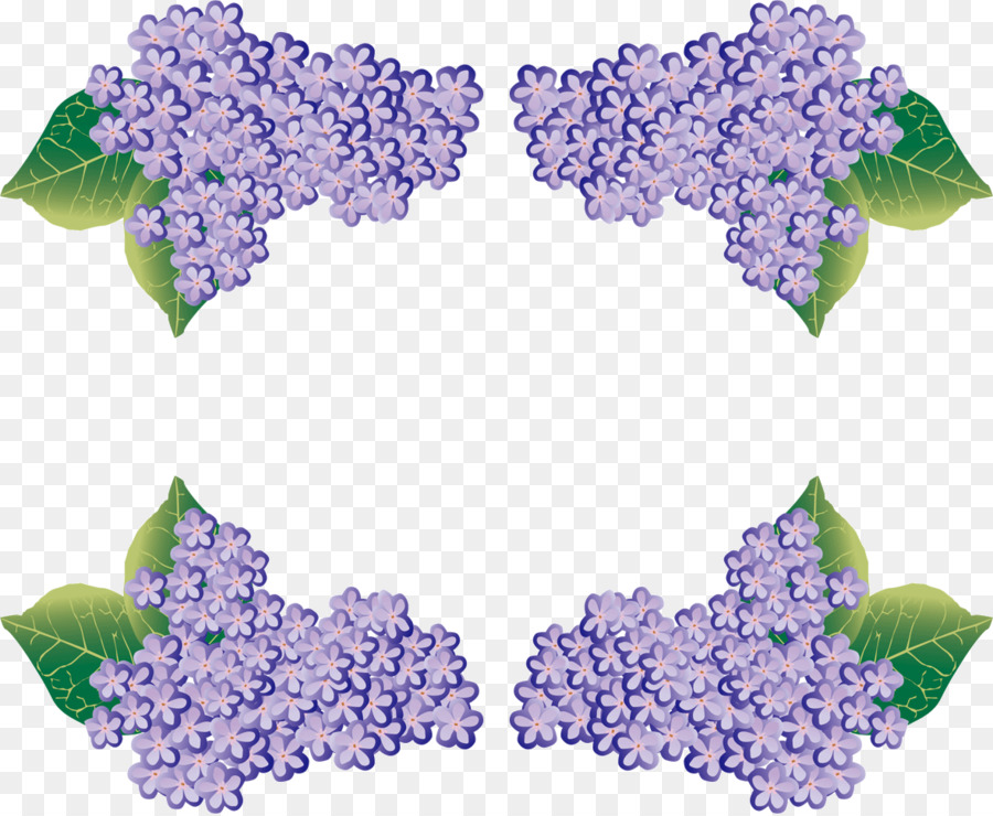 Violet，Lilas PNG