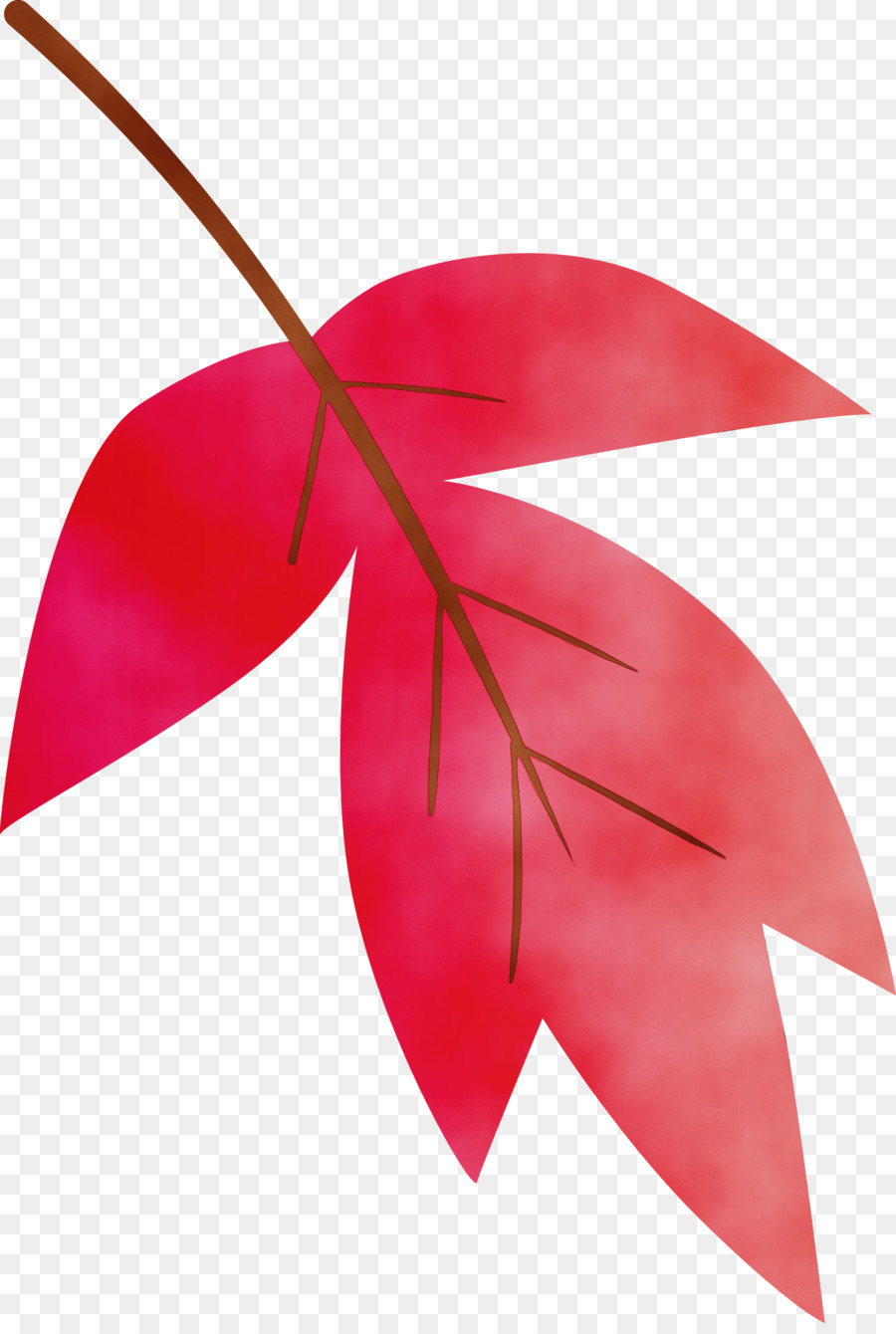 Feuille，Rouge PNG